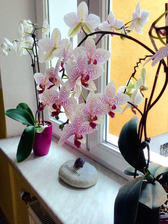 Salzburgrooms Ngoại thất bức ảnh